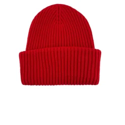 Berry Beanie