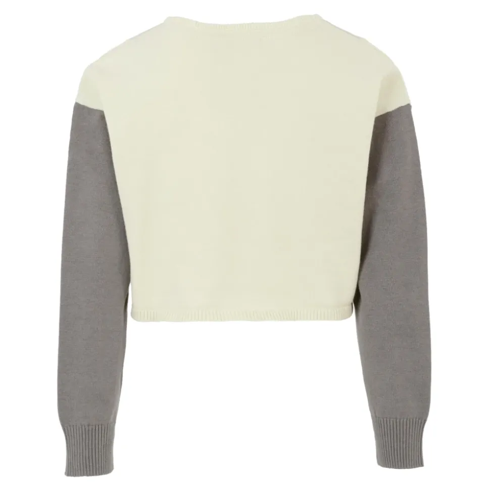 Blauwe Multicolor Trui met Lurex Logo