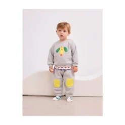 Blije Hond Sweater Grijs Biologisch Katoen