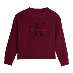 Bordeaux Minimalist Ronde Hals Sweater