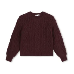 Bordeaux Pull Sweater