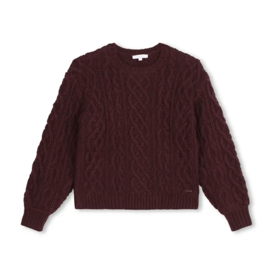 Bordeaux Pull Sweater