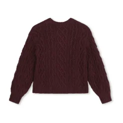 Bordeaux Pull Sweater