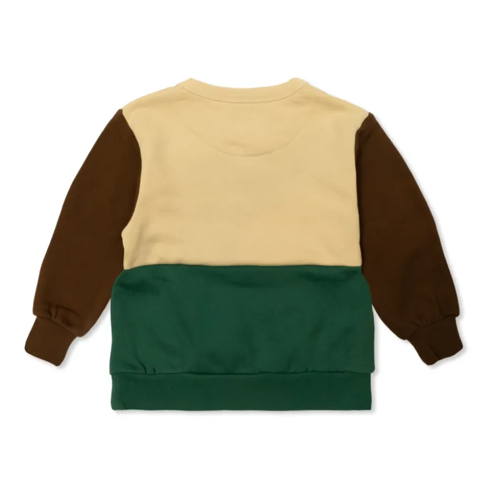 Color Block Sweatshirt