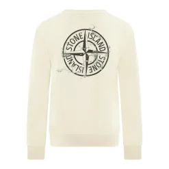 Compasslogo Sweater in Beige