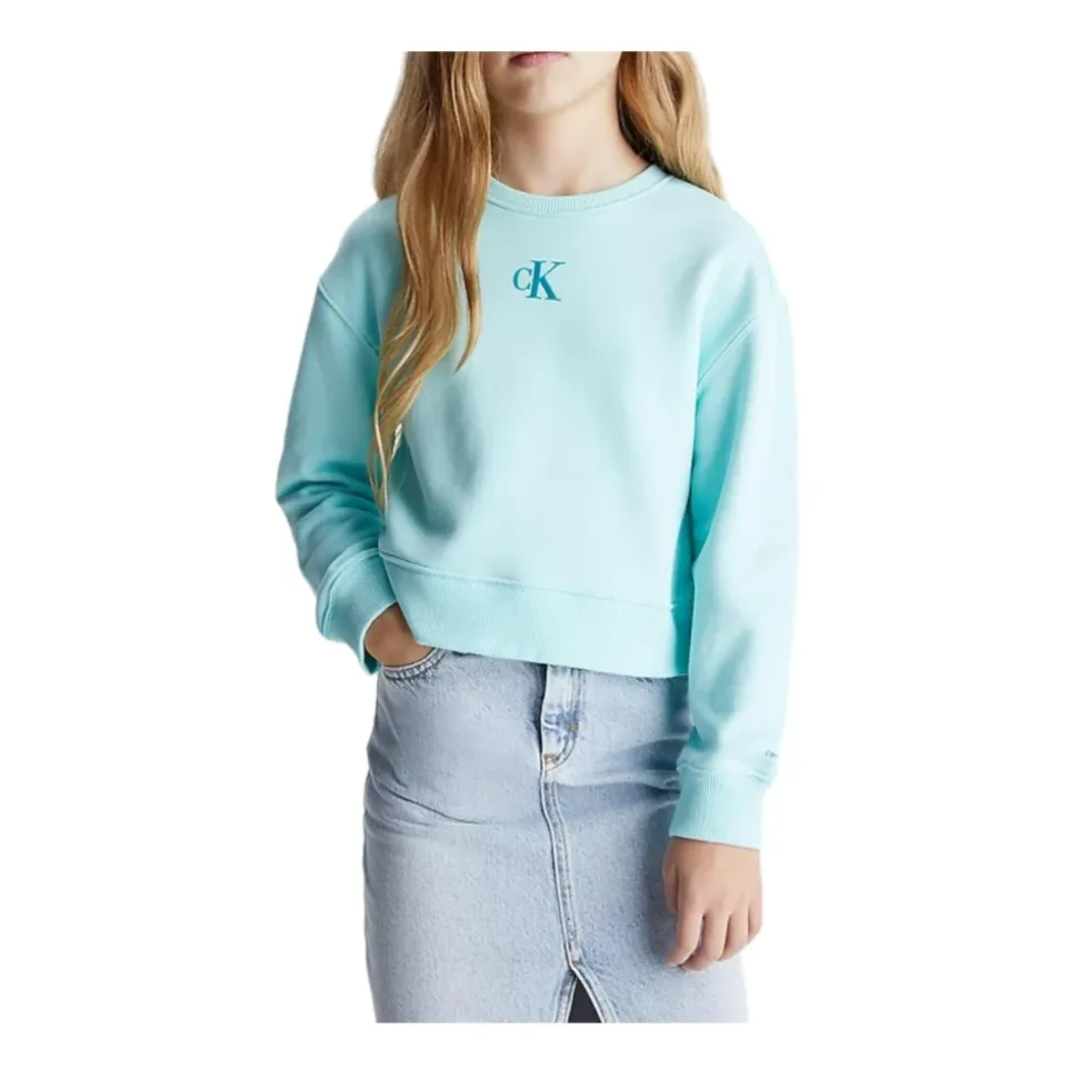 Crew Neck Sweatshirt