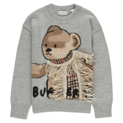 Kinderen Grijze Trui met Teddy Borduurwerk