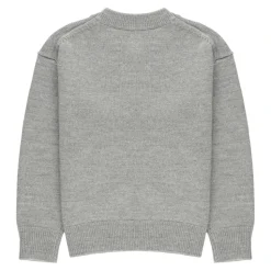 Kinderen Grijze Trui met Teddy Borduurwerk