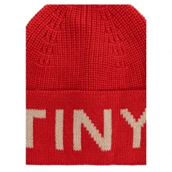 Logo Beanie