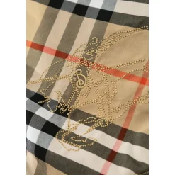 Omkeerbare Jas met Capuchon