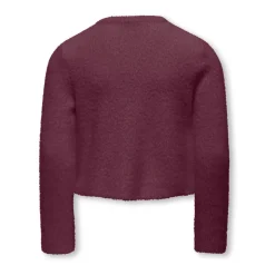 Parel O-Neck Gebreide kleding: Mauve Wine
