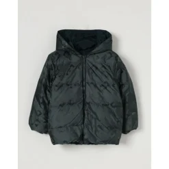 Puffer Gewatteerde Jas met Capuchon