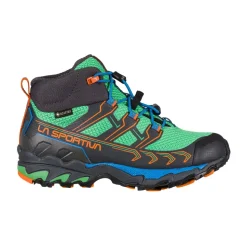 Raptor II Mid GTX Trail Schoenen