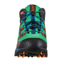 Raptor II Mid GTX Trail Schoenen