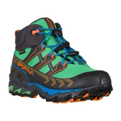 Raptor II Mid GTX Trail Schoenen