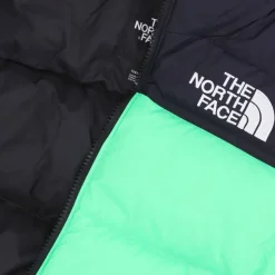 Retro Nuptse Down Jacket