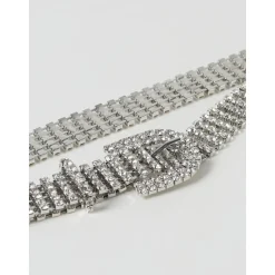 Schitterende versierde riemaccessoire met gesp