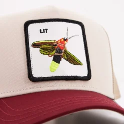 Stijlvolle Hoeden en Petten