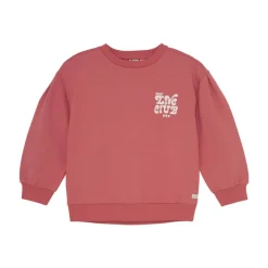 Sweater Brushed Print