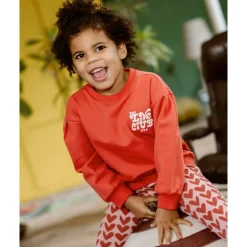 Sweater Brushed Print