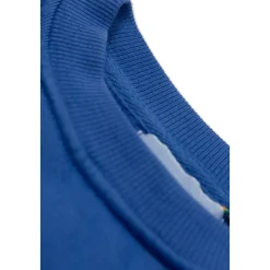 Sweatshirt met een kleurrijke print