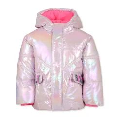 Zilveren Gewatteerde Donsjas met Capuchon