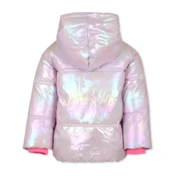 Zilveren Gewatteerde Donsjas met Capuchon