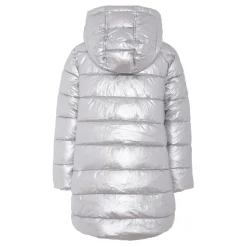 Zilveren Gewatteerde Donsjas