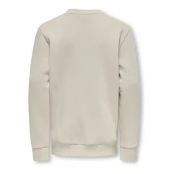 Zilveren Voering Crew Neck Sweatshirt